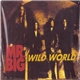 Mr. Big - Wild World